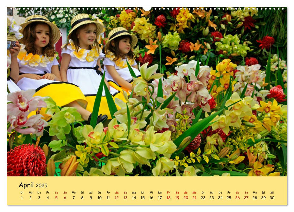 Blumenfest auf Madeira (CALVENDO Premium Wandkalender 2025)