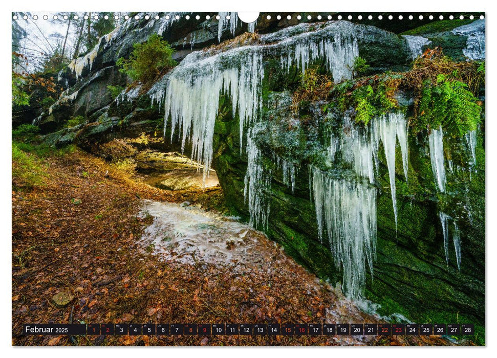 Hohnsteiner Impressionen (CALVENDO Wandkalender 2025)