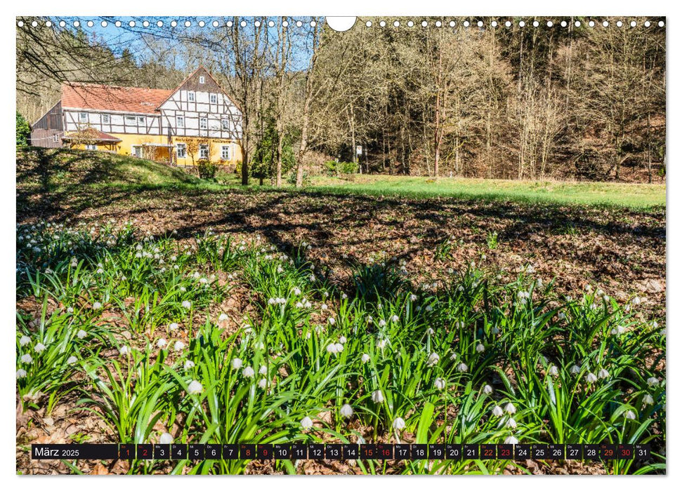 Hohnsteiner Impressionen (CALVENDO Wandkalender 2025)