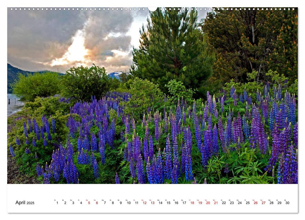 Faszinierendes Patagonien (CALVENDO Premium Wandkalender 2025)