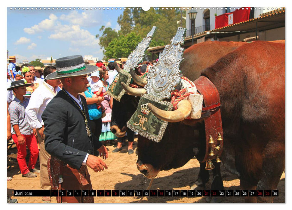 El Rocio - Andalusiens faszinierende Wallfahrt (CALVENDO Premium Wandkalender 2025)