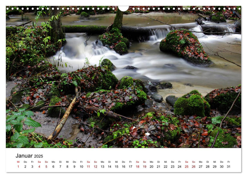 Vom Flachland bis in die Alpen (CALVENDO Wandkalender 2025)