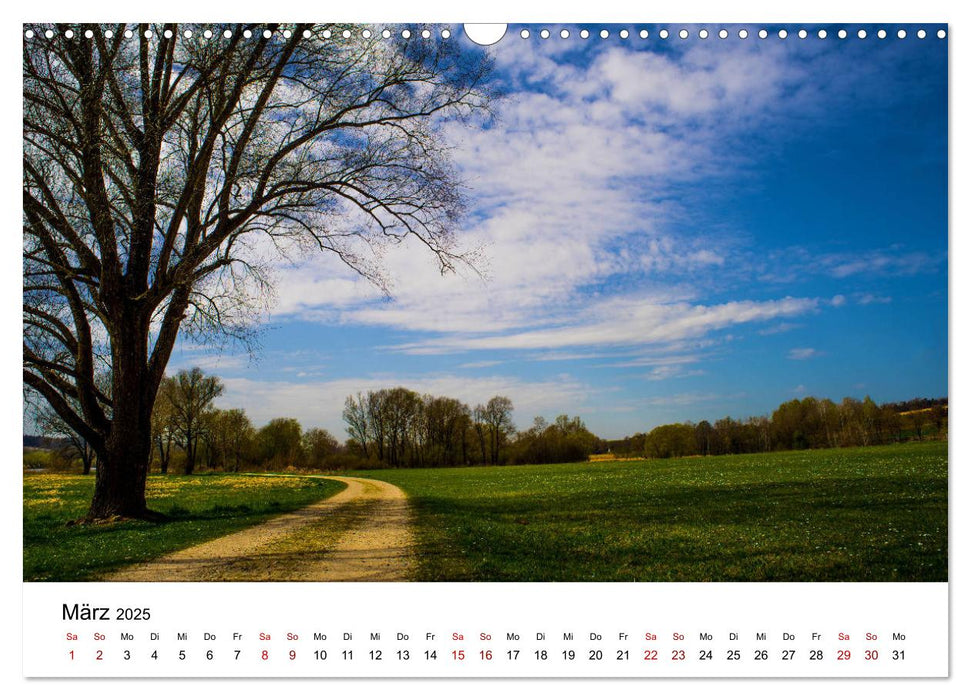 Vom Flachland bis in die Alpen (CALVENDO Wandkalender 2025)