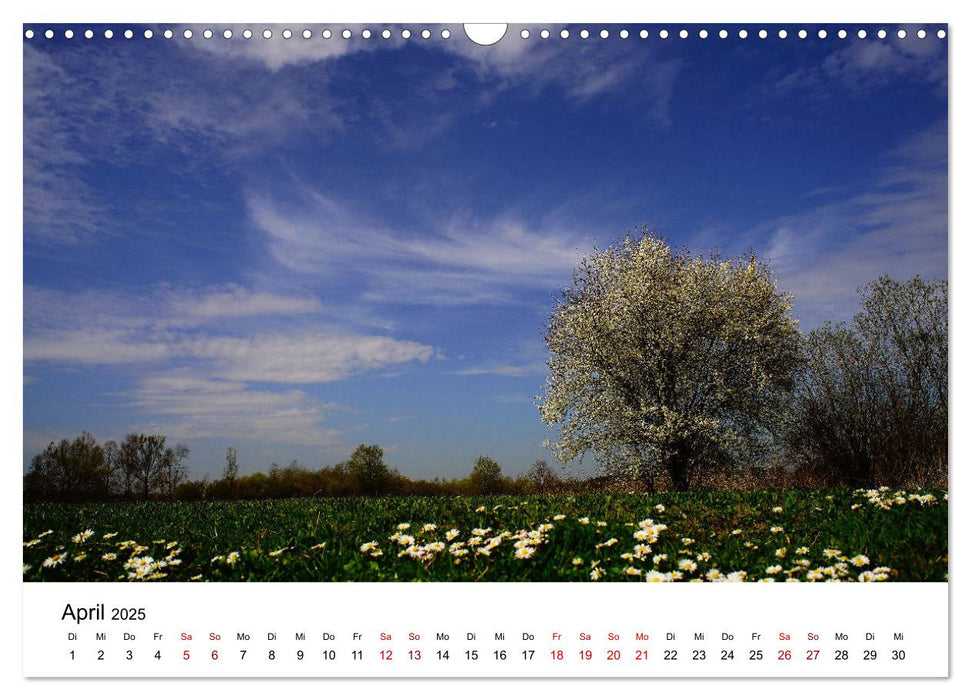 Vom Flachland bis in die Alpen (CALVENDO Wandkalender 2025)