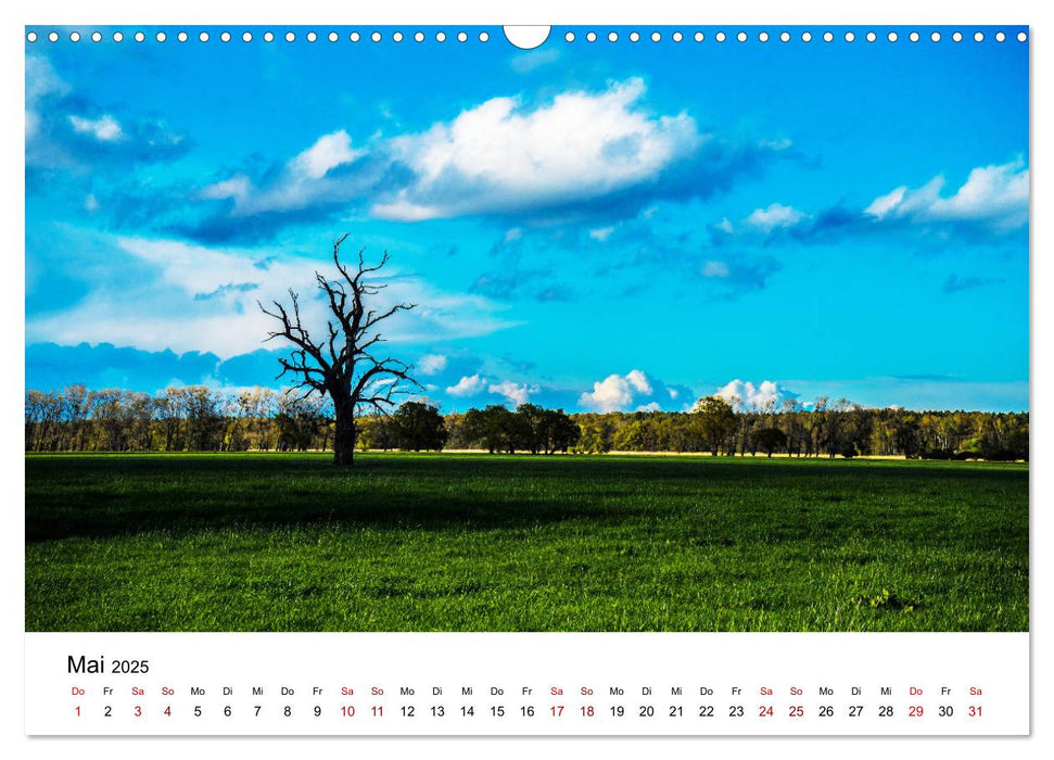 Vom Flachland bis in die Alpen (CALVENDO Wandkalender 2025)