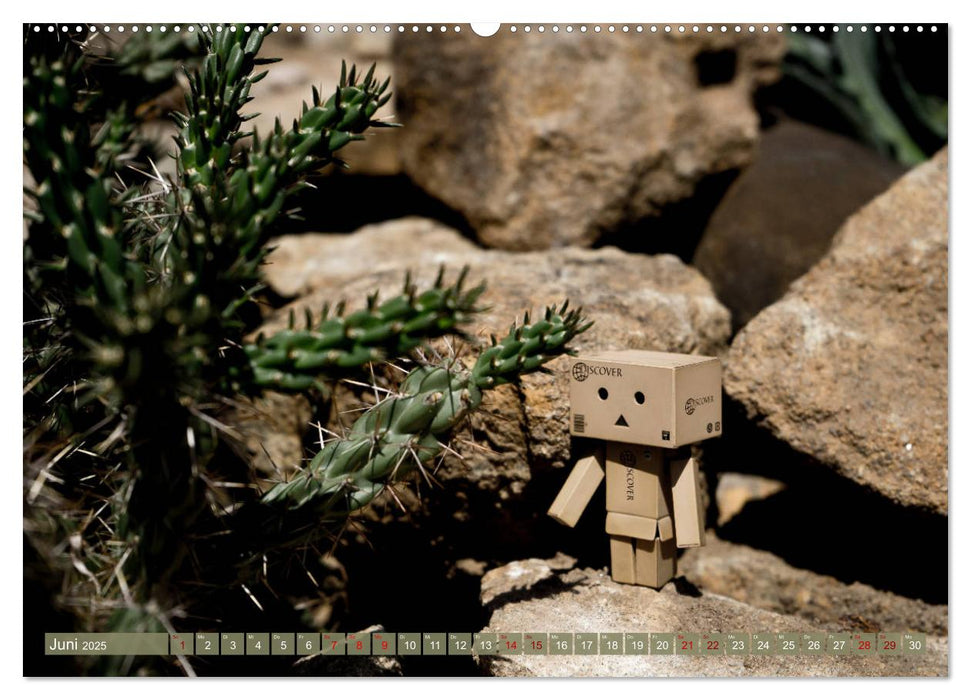 Kleine Abenteuer mit Danbo (CALVENDO Premium Wandkalender 2025)