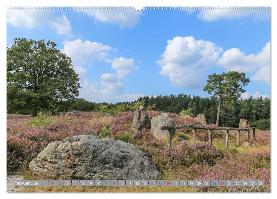 Lüneburger Heide - Faszinierend schön (CALVENDO Premium Wandkalender 2025)