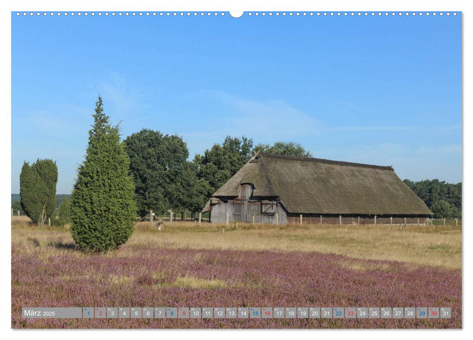 Lüneburger Heide - Faszinierend schön (CALVENDO Premium Wandkalender 2025)