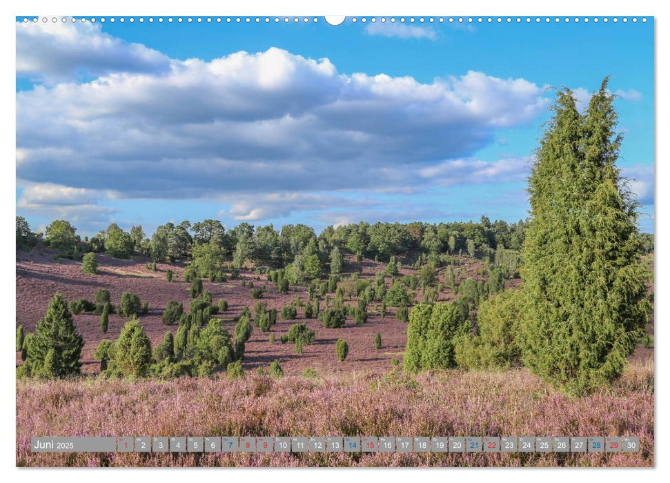 Lüneburger Heide - Faszinierend schön (CALVENDO Premium Wandkalender 2025)