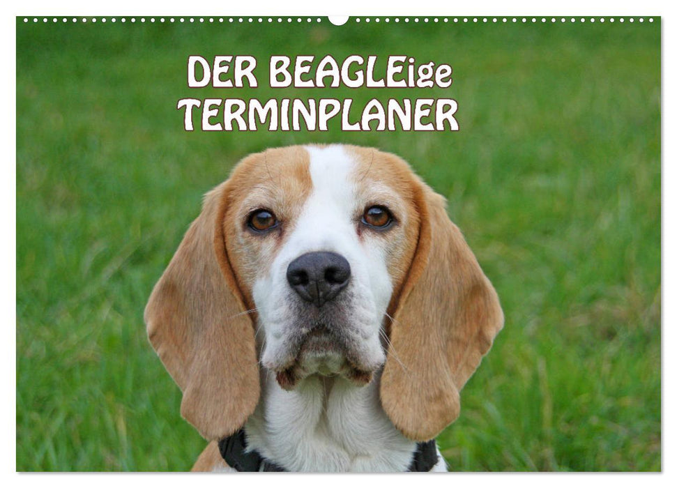 DER BEAGLEige TERMINPLANER (CALVENDO Wandkalender 2025)