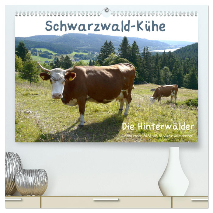 Schwarzwald-Kühe - Die Hinterwälder (CALVENDO Premium Wandkalender 2025)