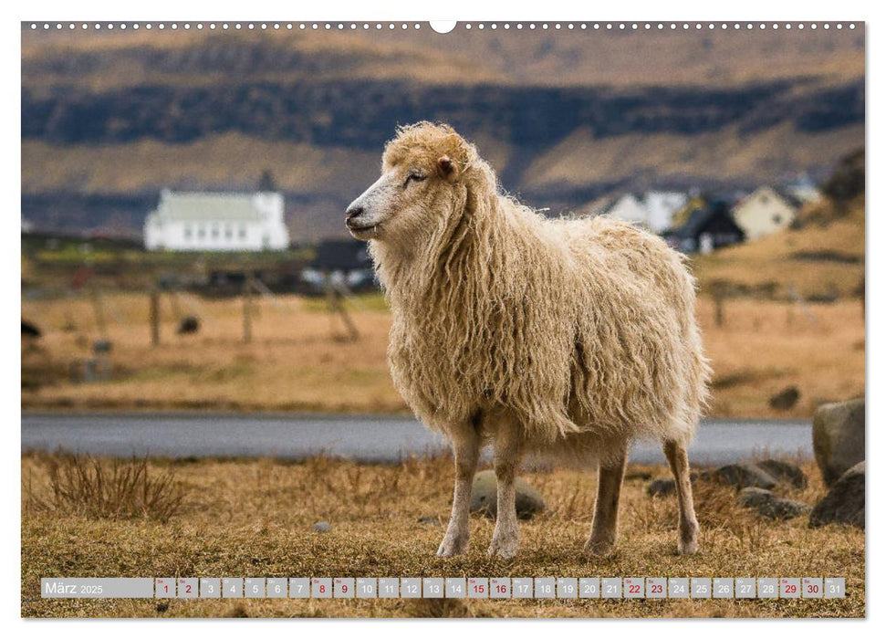 Traumlandschaft im Nordatlantik. Färöer Inseln (CALVENDO Premium Wandkalender 2025)