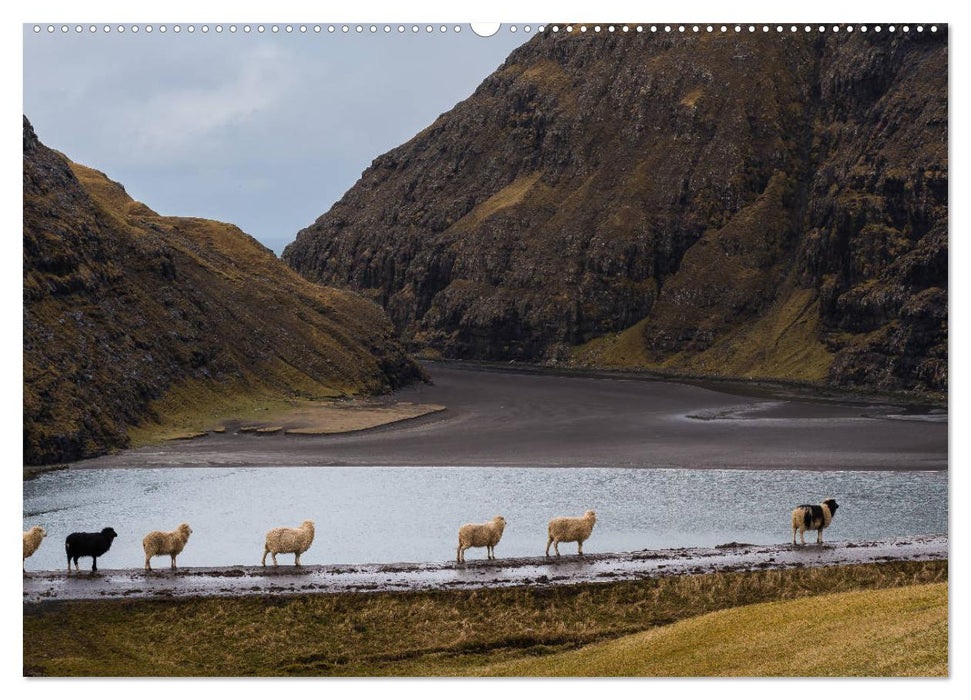 Traumlandschaft im Nordatlantik. Färöer Inseln (CALVENDO Premium Wandkalender 2025)