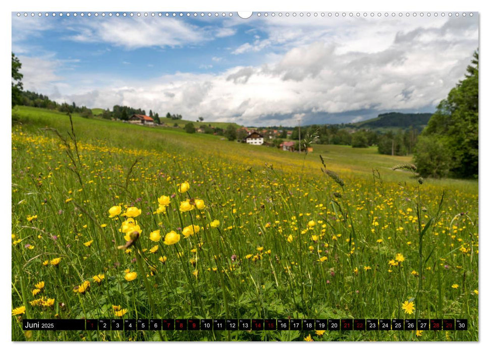 das Allgäu (CALVENDO Wandkalender 2025)