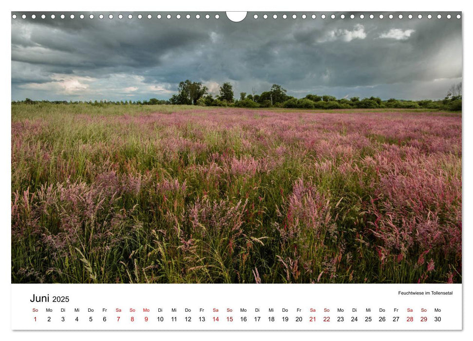 Tollense Landschaften (CALVENDO Wandkalender 2025)