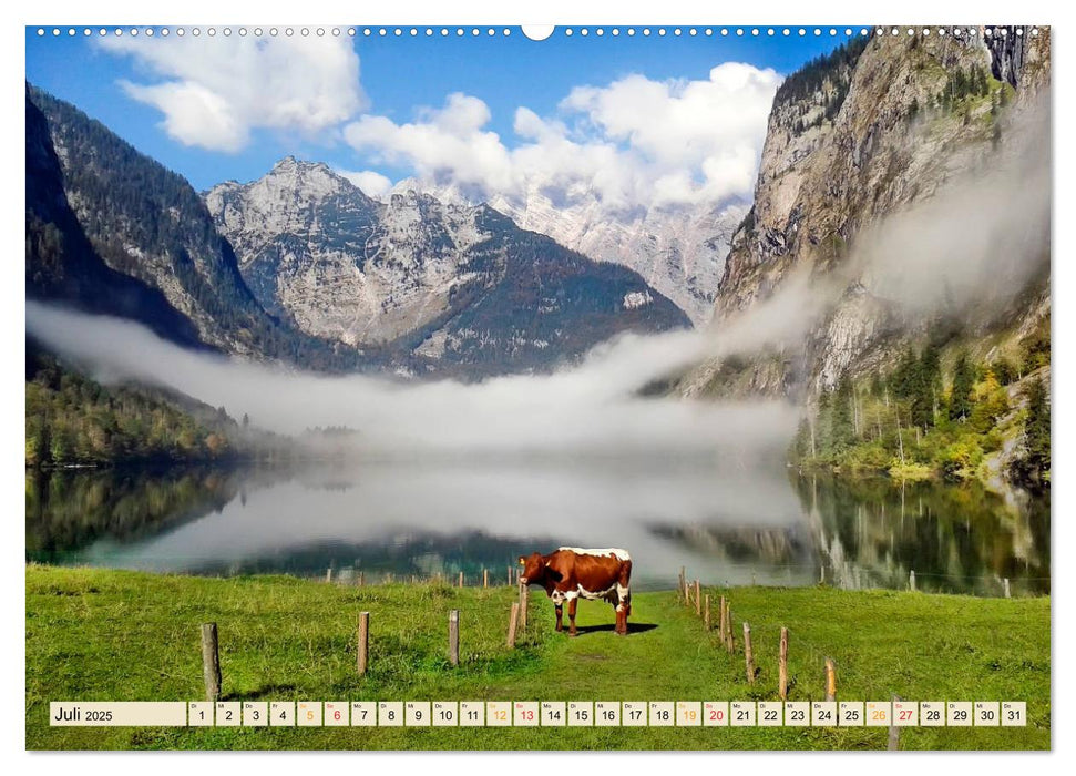 Salzkammergut, überraschend vielseitig (CALVENDO Premium Wandkalender 2025)