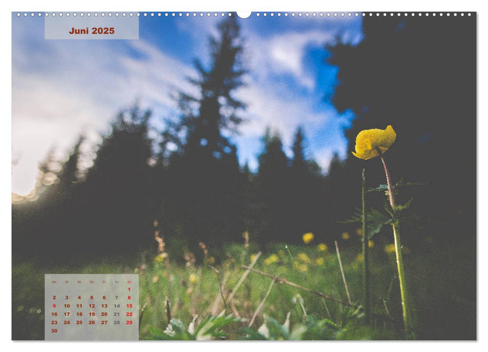 Ein Frühling in Kärnten (CALVENDO Wandkalender 2025)