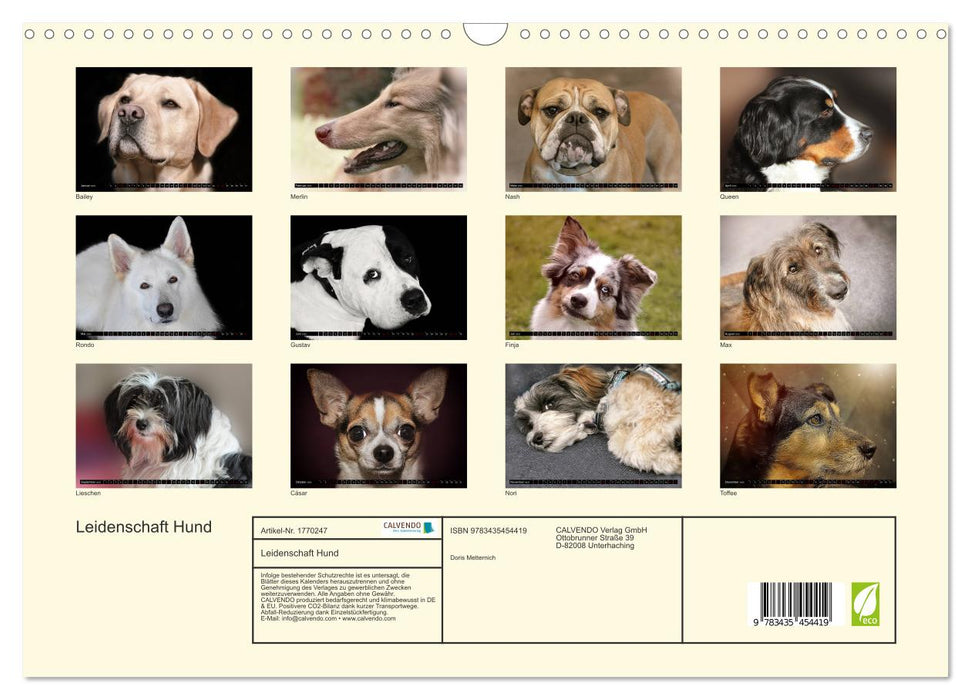 Leidenschaft Hund (CALVENDO Wandkalender 2025)