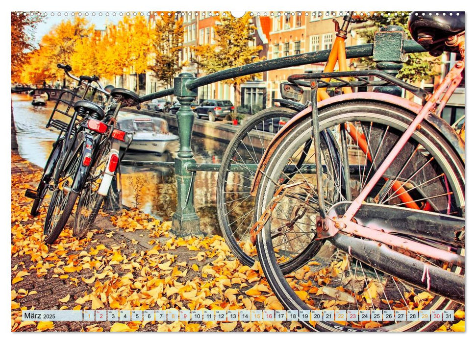 Stadtfahrrad (CALVENDO Premium Wandkalender 2025)