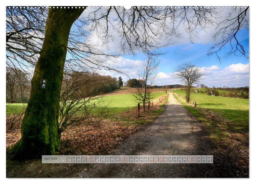 Wald im Bergischen Land 2025 (CALVENDO Premium Wandkalender 2025)