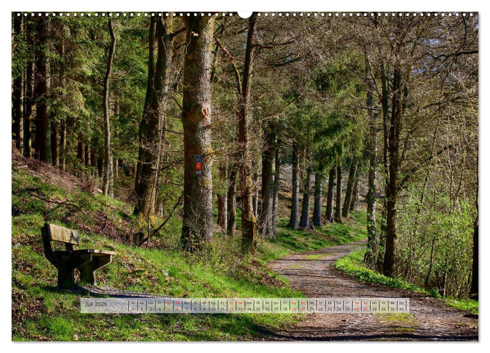 Wald im Bergischen Land 2025 (CALVENDO Premium Wandkalender 2025)