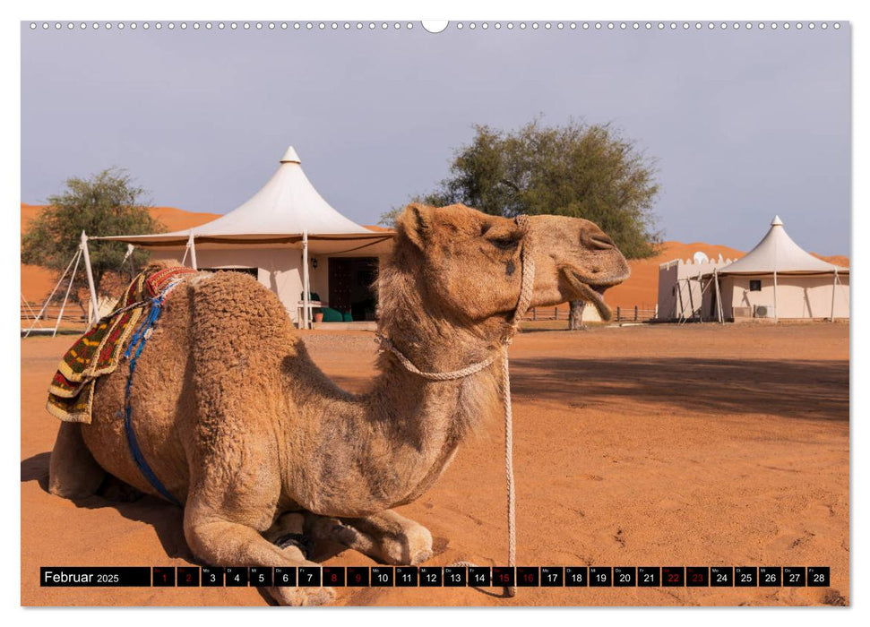 Sultanat Oman - Die Perle auf der Arabischen Halbinsel (CALVENDO Wandkalender 2025)