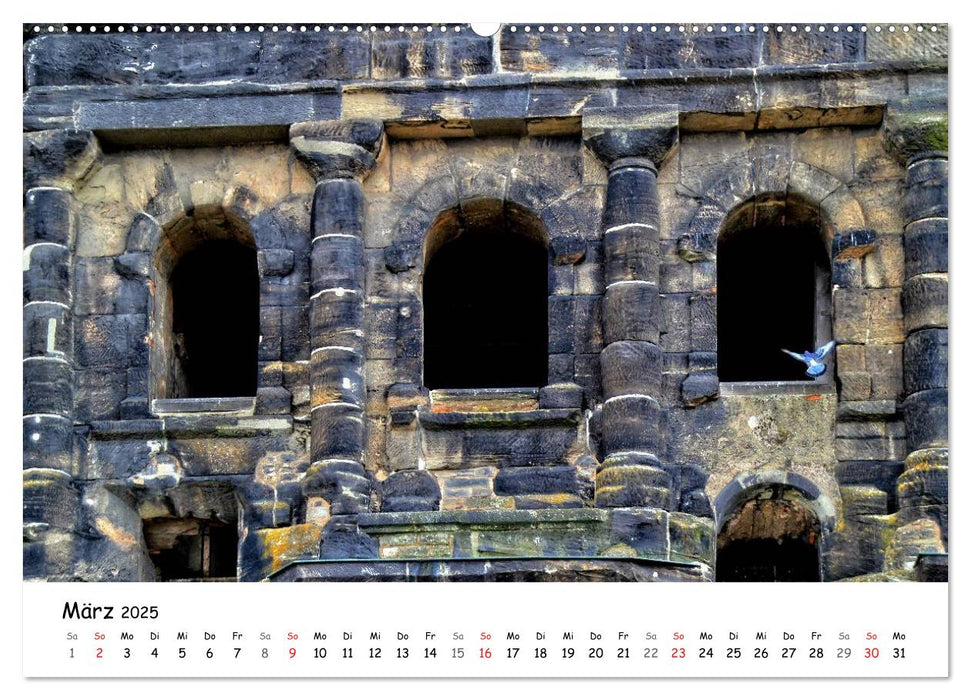 Blickfänge - Fenster und Türen (CALVENDO Premium Wandkalender 2025)