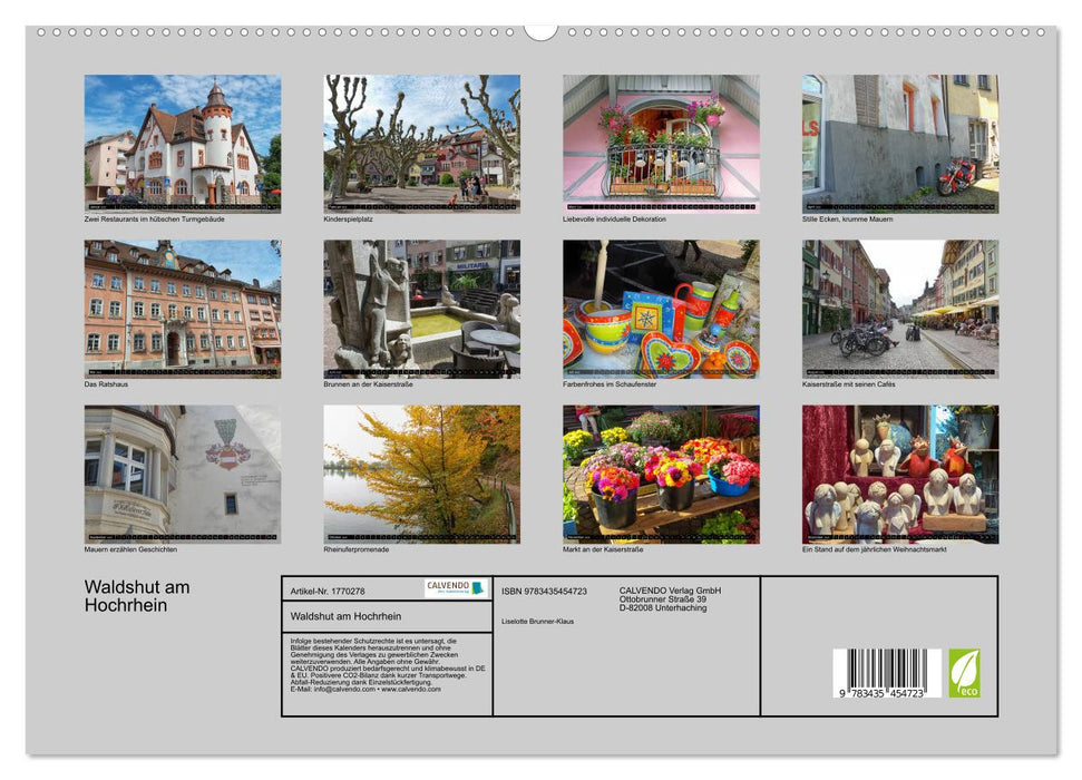 Waldshut am Hochrhein (CALVENDO Premium Wandkalender 2025)