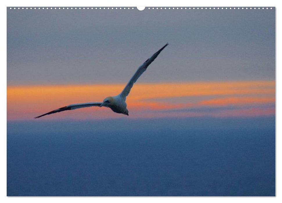 Abend in Helgoland (CALVENDO Premium Wandkalender 2025)