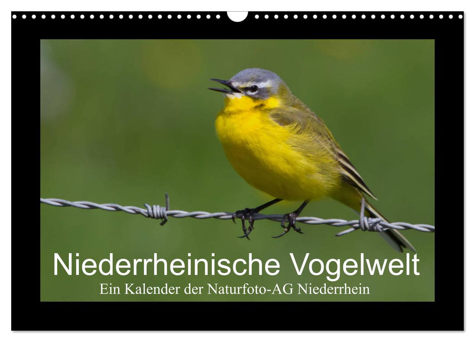 Niederrheinische Vogelwelt (CALVENDO Wandkalender 2025)