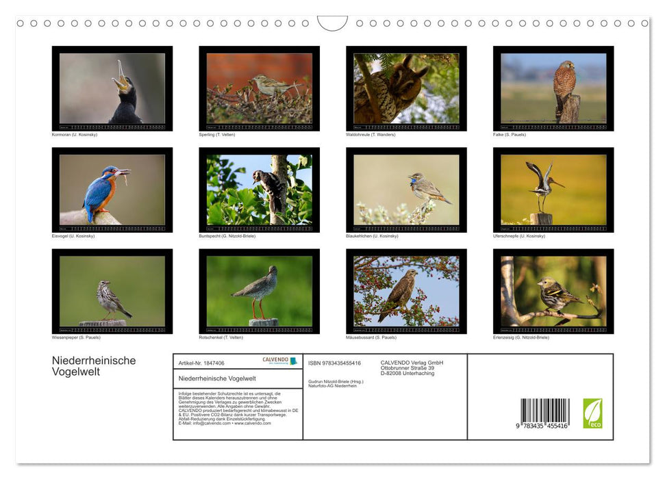 Niederrheinische Vogelwelt (CALVENDO Wandkalender 2025)