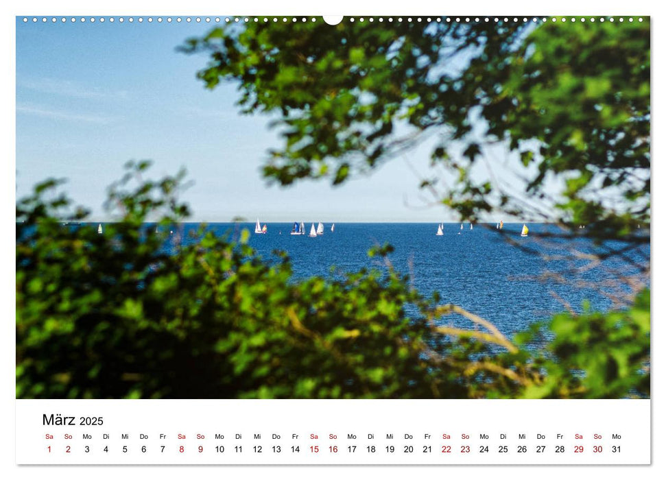 Schleswig-Holstein in 365 Farben (CALVENDO Wandkalender 2025)