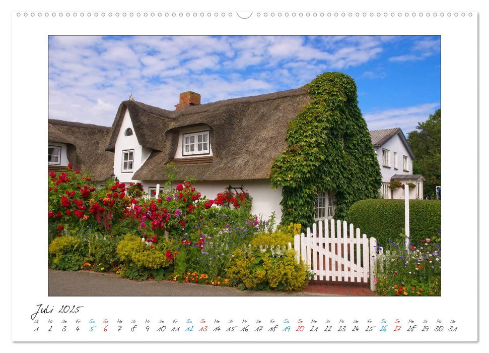 Amrum - Farben einer Insel (CALVENDO Premium Wandkalender 2025)