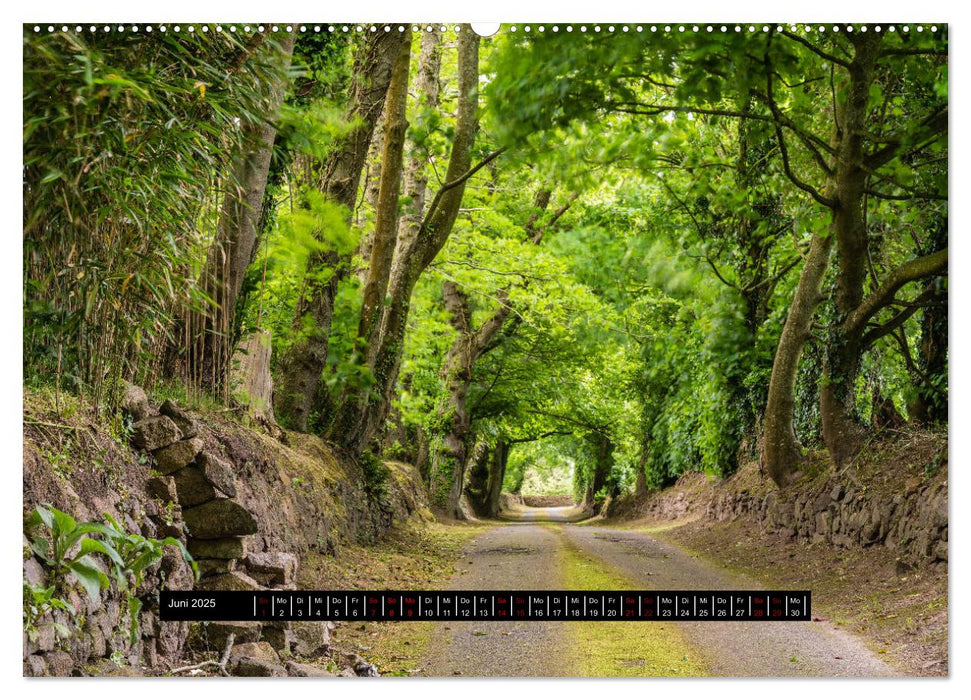 Jersey - Insel im Ärmelkanal (CALVENDO Wandkalender 2025)