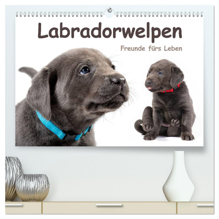 Labradorwelpen - Freunde fürs Leben (CALVENDO Premium Wandkalender 2025)