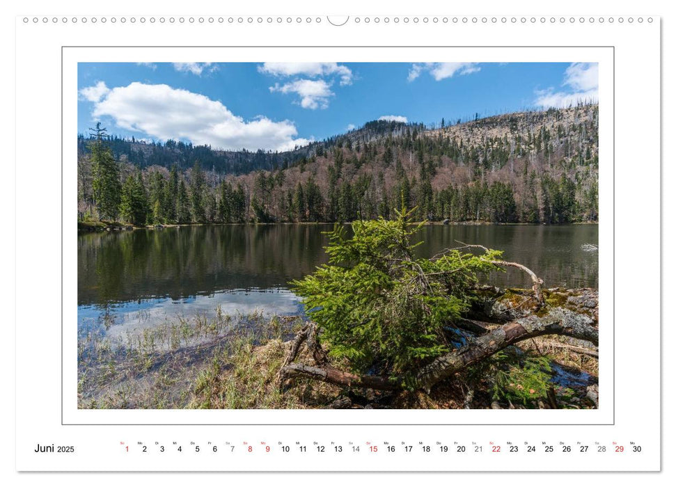 Unterwegs im Bayerischen Wald (CALVENDO Premium Wandkalender 2025)