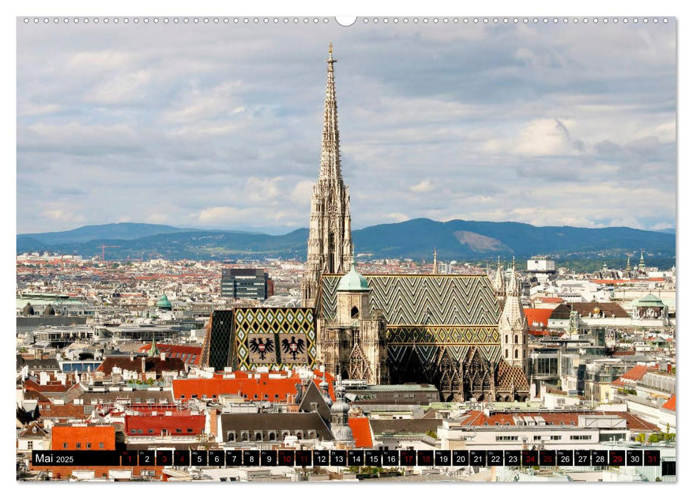 WIEN von oben (CALVENDO Wandkalender 2025)