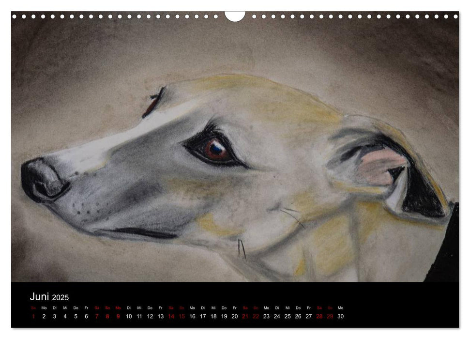 Whippets in Pastell (CALVENDO Wandkalender 2025)