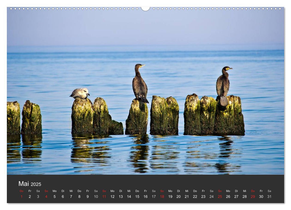 Sonne Strand und Meer in Kolberg (CALVENDO Premium Wandkalender 2025)