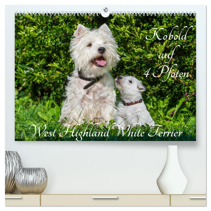 Kobold auf 4 Pfoten - West Highland White Terrier (CALVENDO Premium Wandkalender 2025)