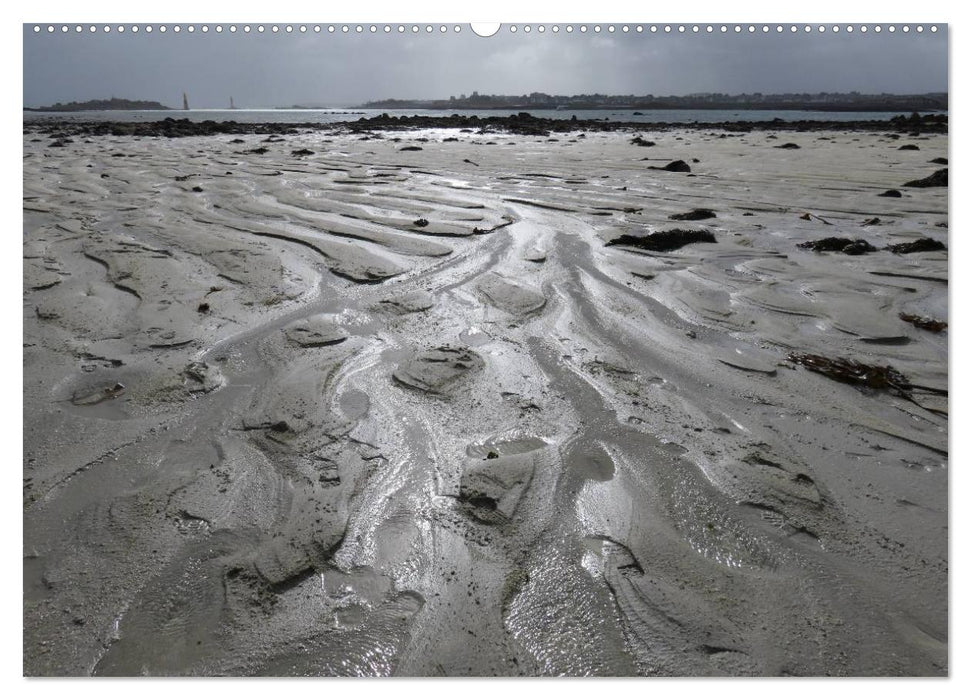 Bretagne - Wildnis Finistère (CALVENDO Premium Wandkalender 2025)