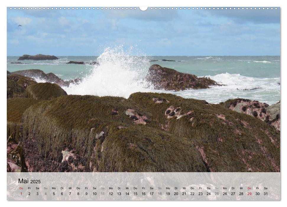 Bretagne - Wildnis Finistère (CALVENDO Premium Wandkalender 2025)