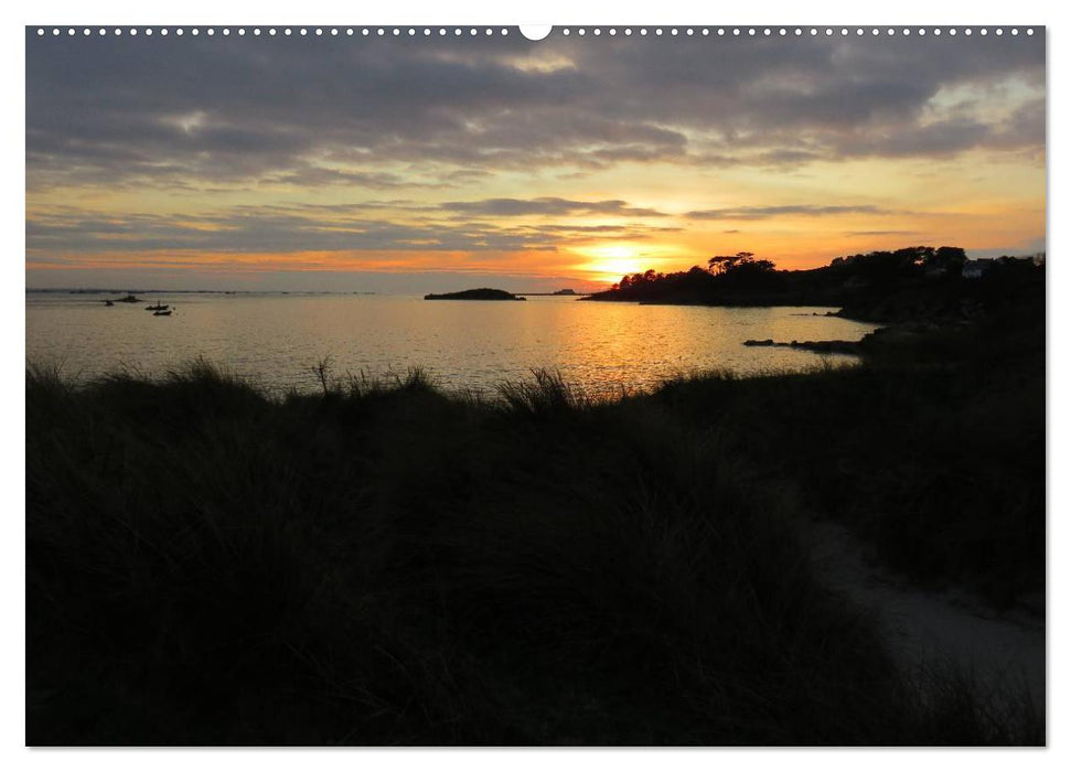 Bretagne - Wildnis Finistère (CALVENDO Premium Wandkalender 2025)