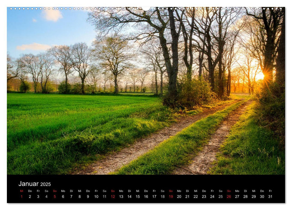 (Ost)Friesische Landschaften (CALVENDO Premium Wandkalender 2025)