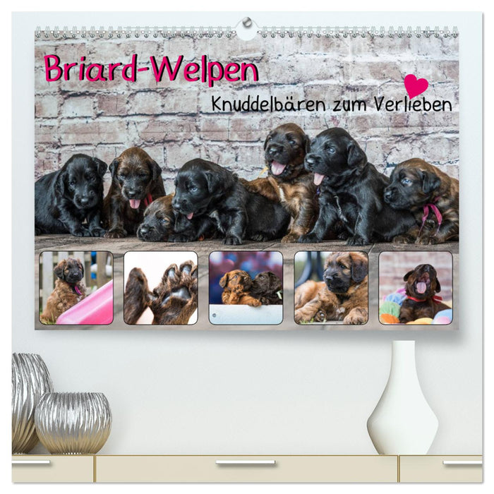 Briard-Welpen - Knuddelbären zum Verlieben (CALVENDO Premium Wandkalender 2025)