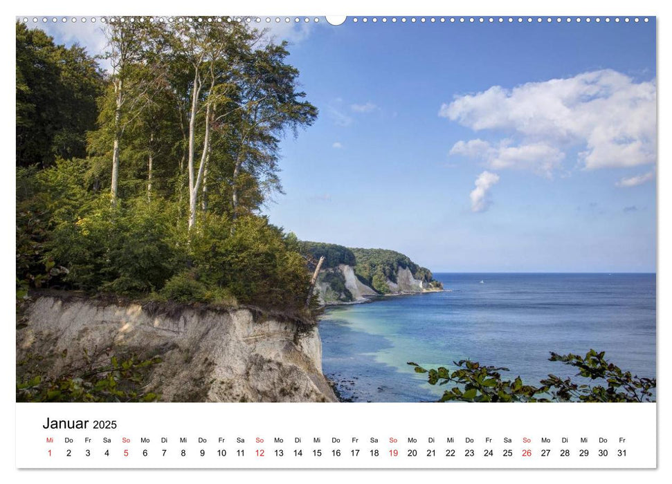 Der Hochuferweg im Jasmund Nationalpark (CALVENDO Premium Wandkalender 2025)