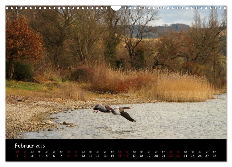 Traumhaft schöner Bodensee (CALVENDO Wandkalender 2025)