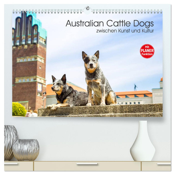 Australian Cattle Dogs zwischen Kunst und Kultur (CALVENDO Premium Wandkalender 2025)