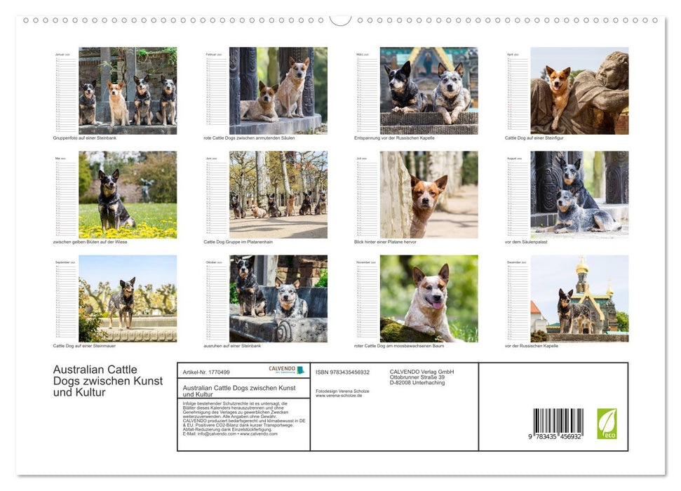 Australian Cattle Dogs zwischen Kunst und Kultur (CALVENDO Premium Wandkalender 2025)