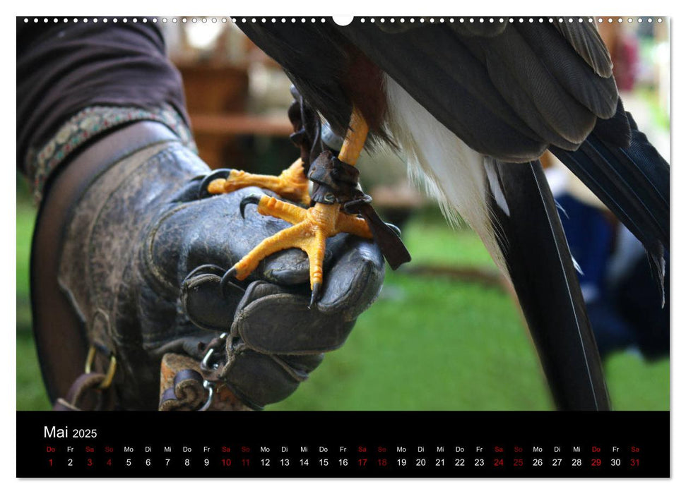 Komm mit ins Mittelalter! (CALVENDO Wandkalender 2025)